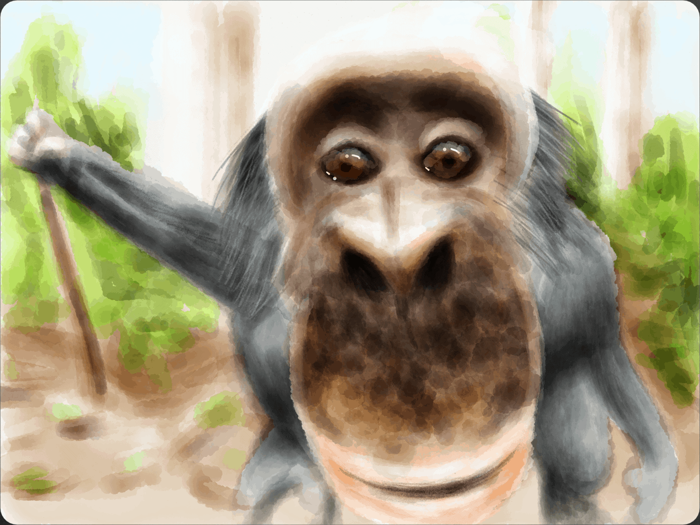 Bobo the Bonobo 06 image