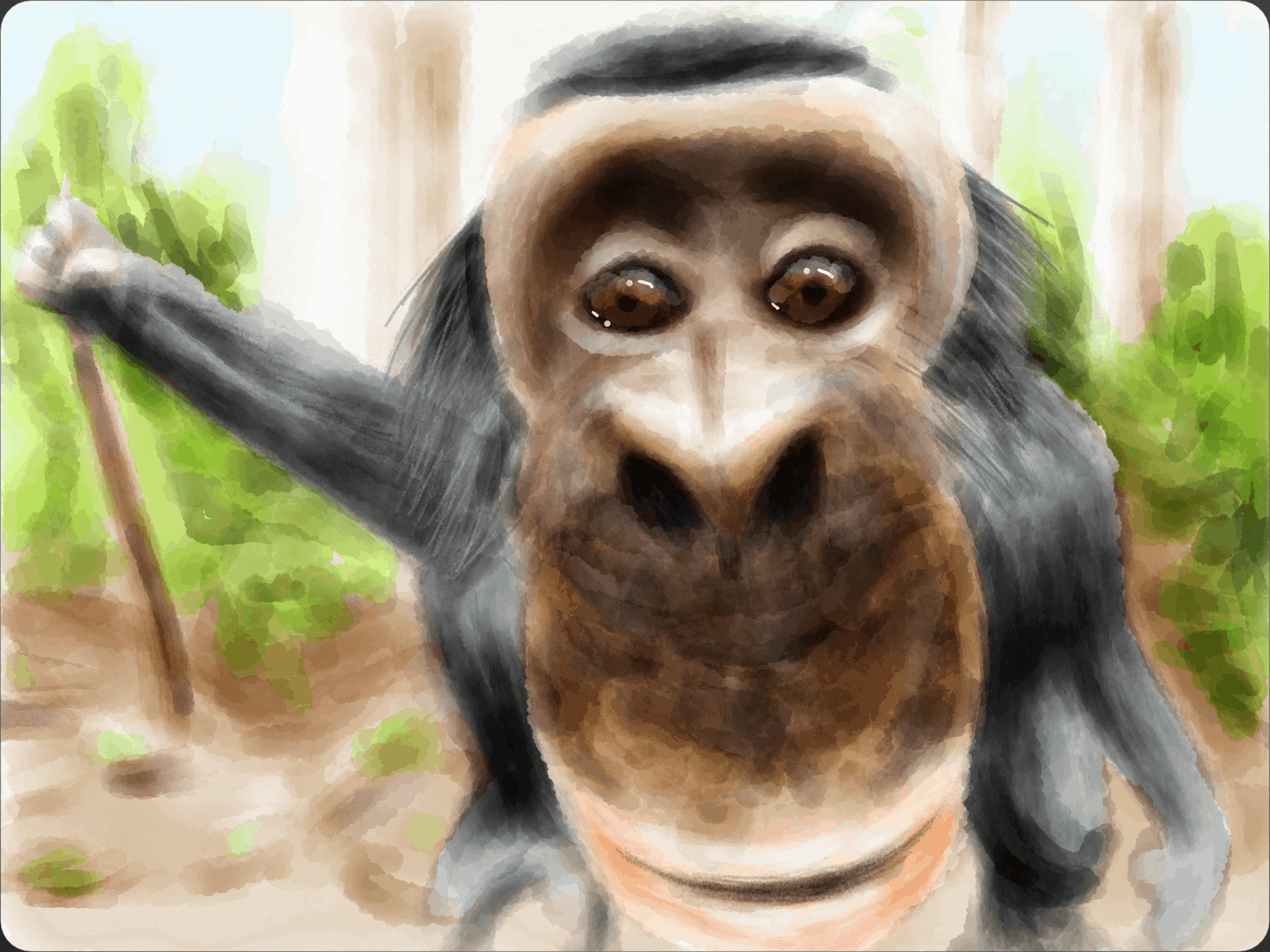 Bobo the Bonobo 07 image