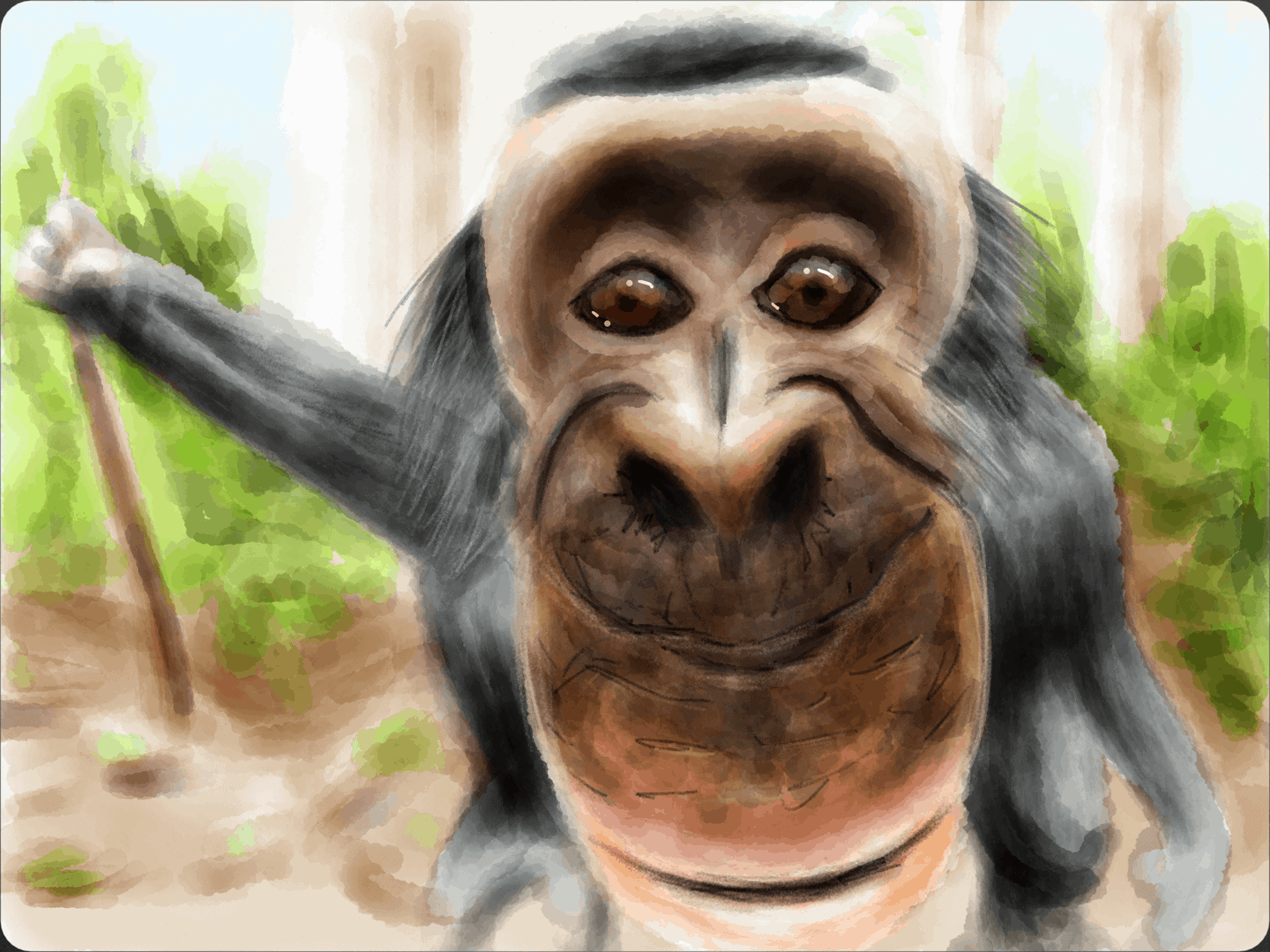 Bobo the Bonobo 08 image