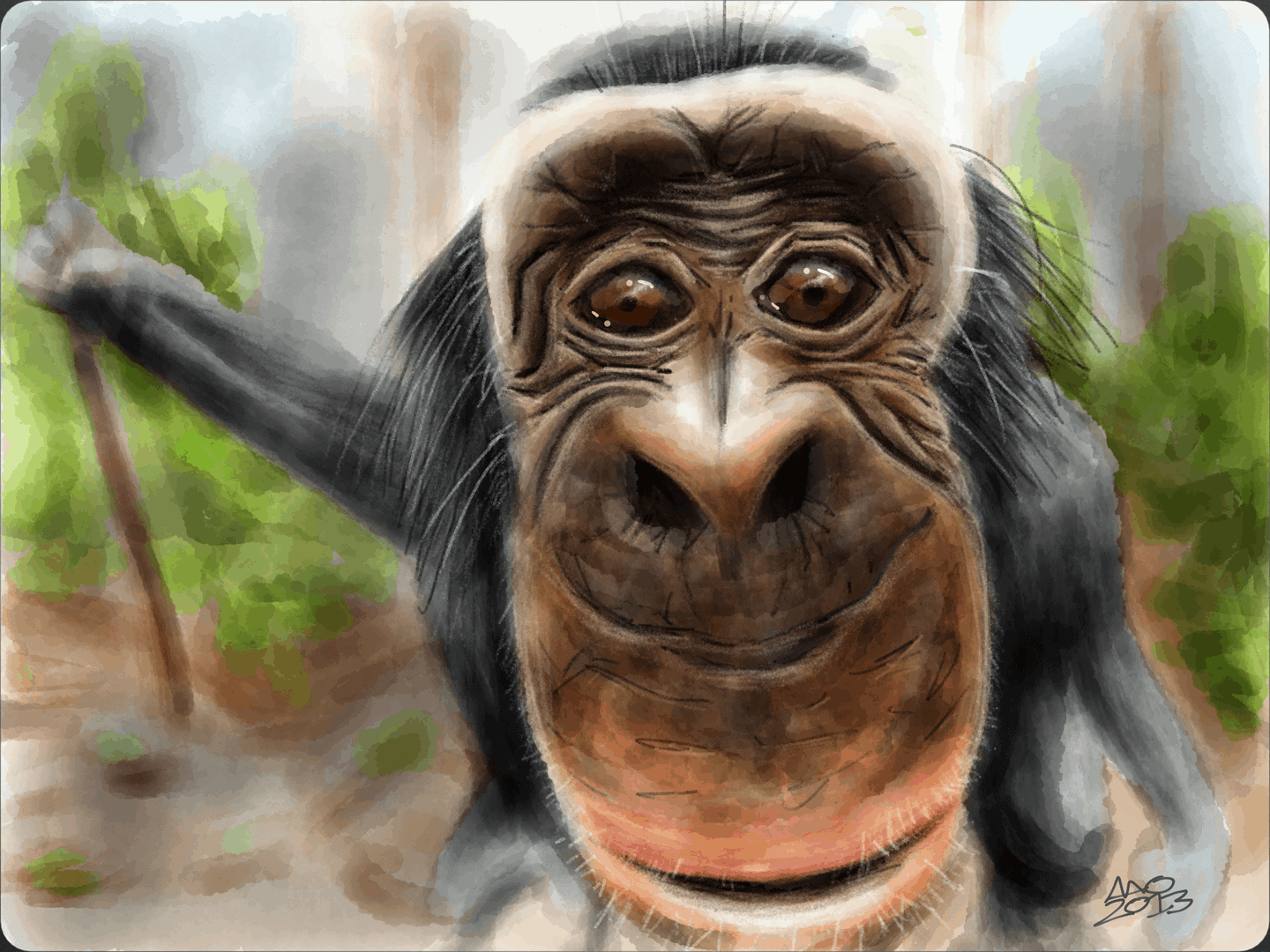 Bobo the Bonobo 09 image