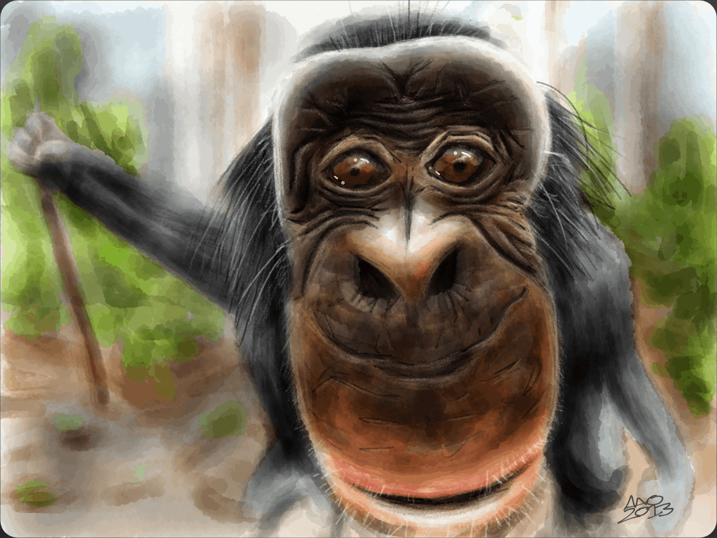 Bobo the Bonobo 11 image