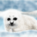 Harp Seal Pup image