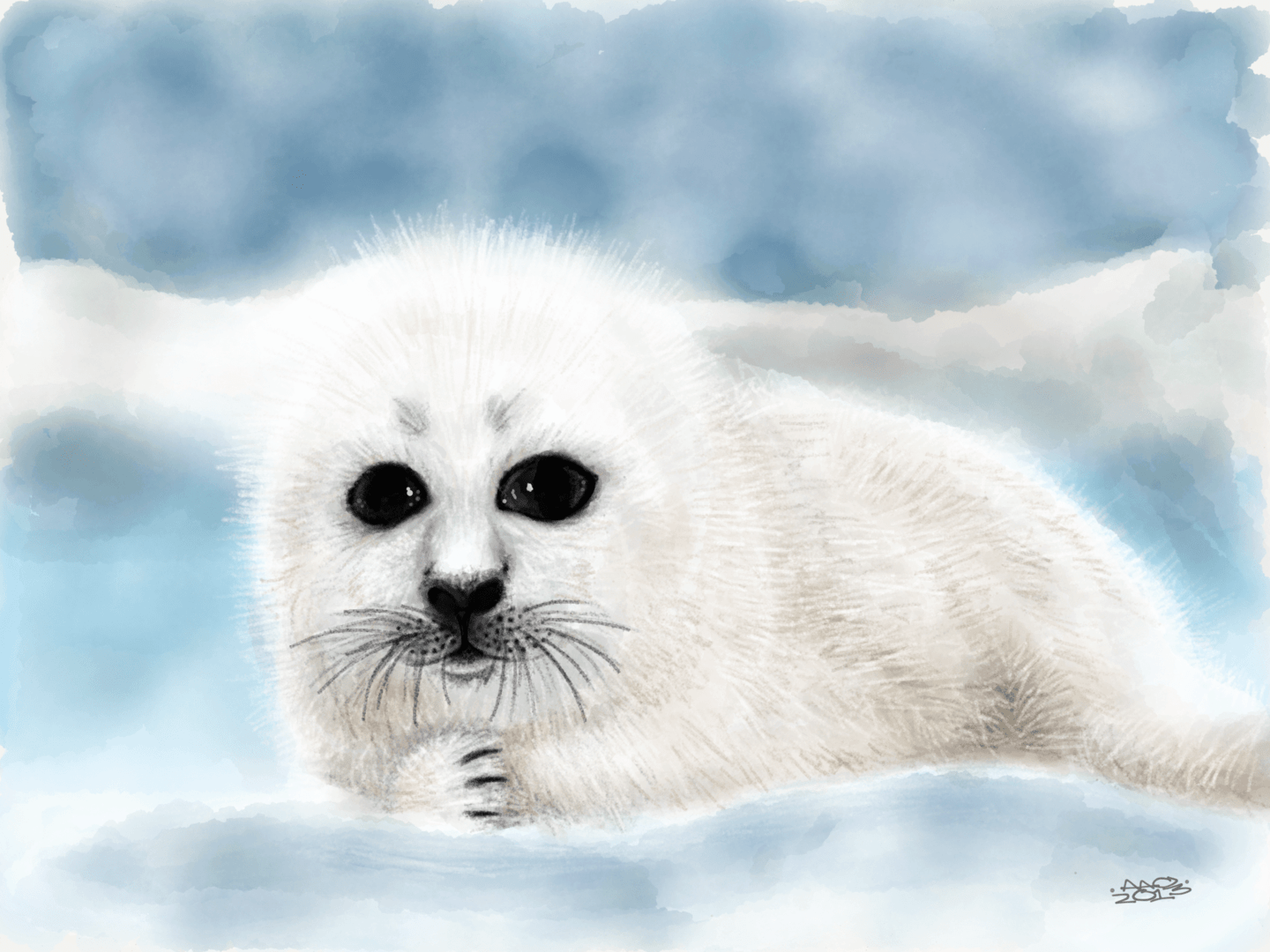Harp Seal Pup image