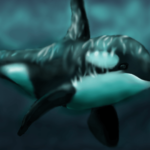 Orca image