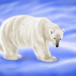 Ursus Maritimus (Polar Bear) image