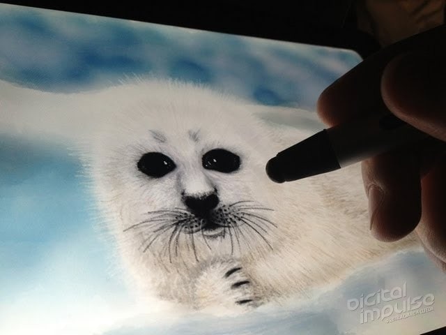 Illustration - Harp Seal Pup video image