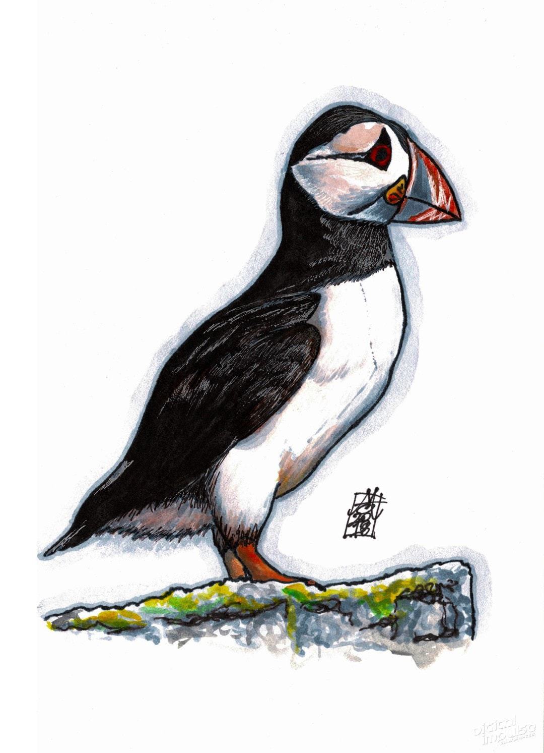 Puffin Bird (28-10-2018)