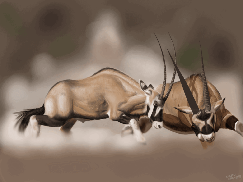 Scimitar-Horned Oryx Duel 007 Image