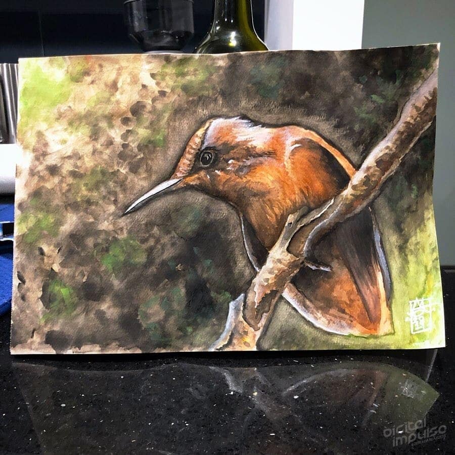 Firecrown Hummingbird 06 image