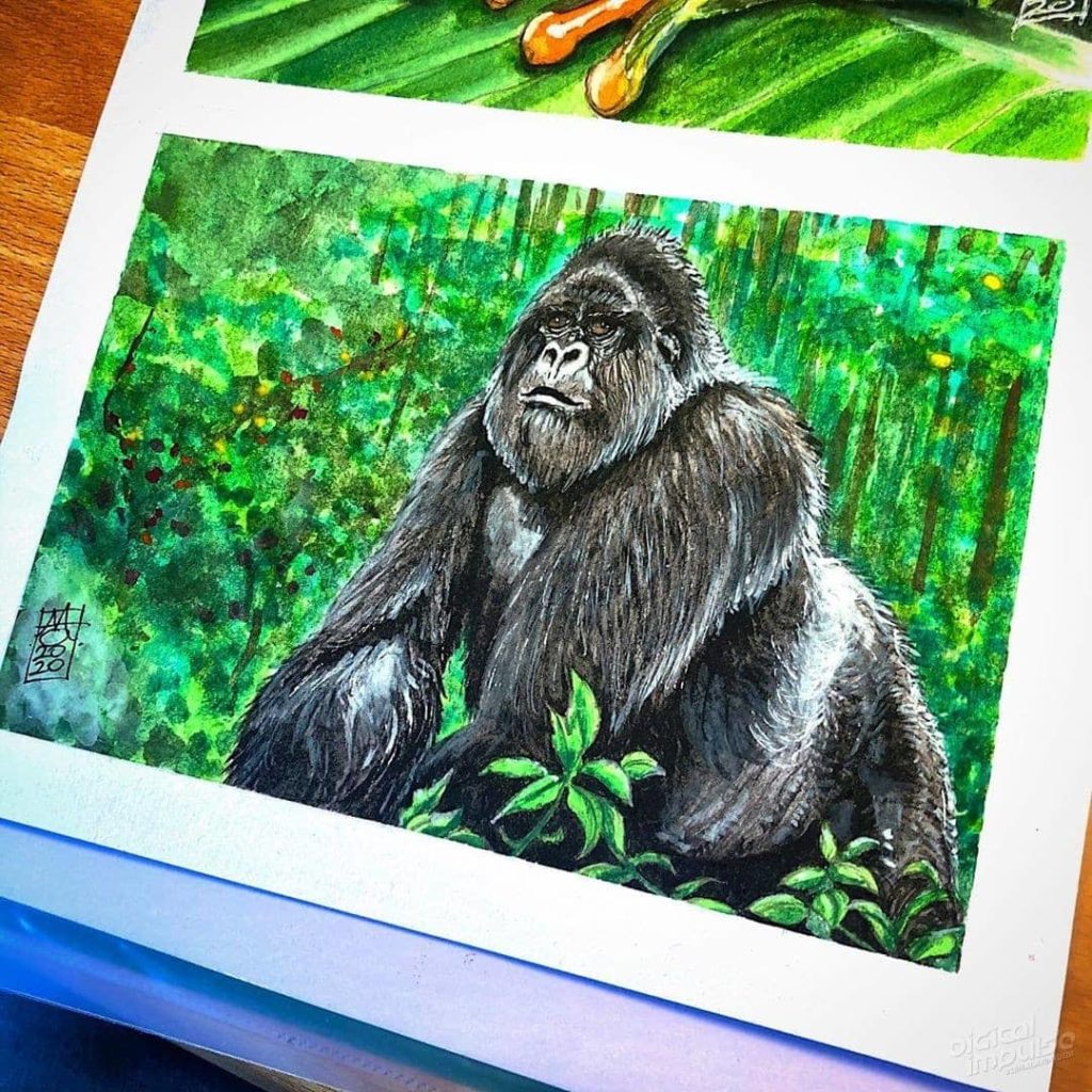 Silverback Gorilla 001 image