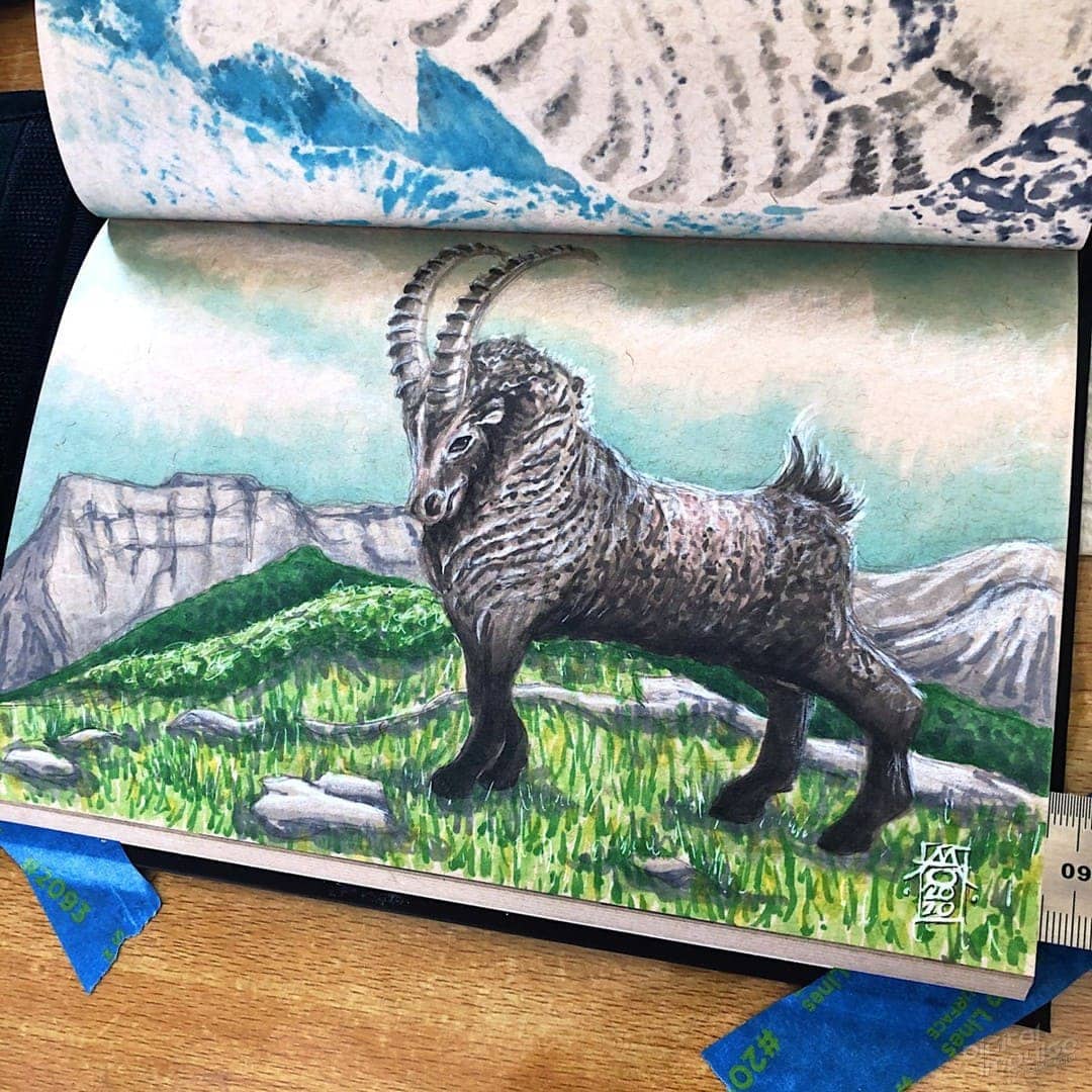 Alpine Ibex Preview image