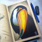 Toucan Illustration 01 Preview image